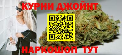 гидра Лесосибирск