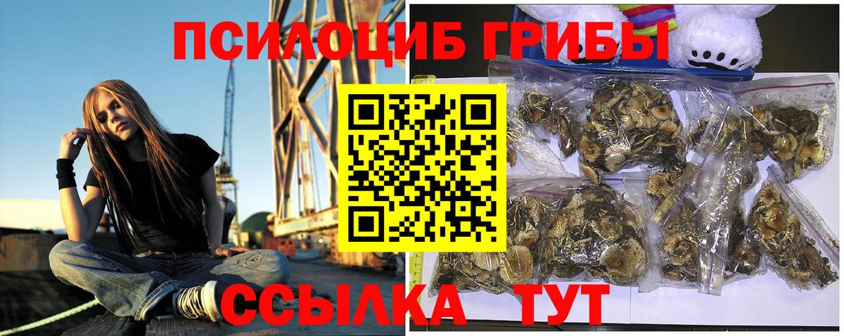 Галлюциногенные грибы Psilocybine cubensis Изобильный